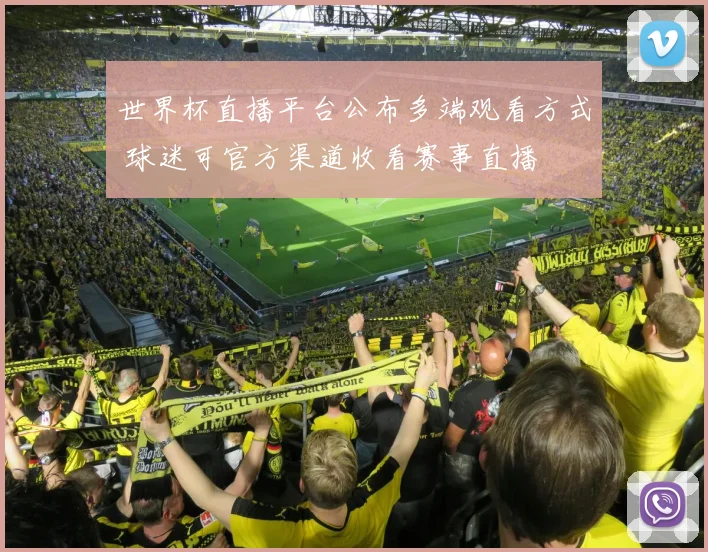 世界杯直播平台公布多端观看方式 球迷可官方渠道收看赛事直播